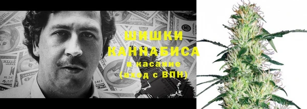 индика Балабаново
