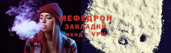 хмурый Аркадак