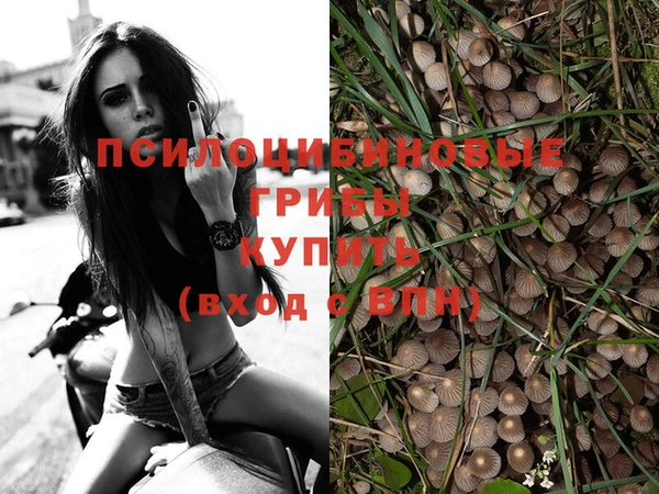 скорость Арсеньев