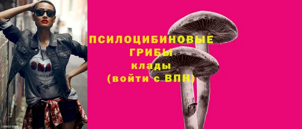 spice Переславль-Залесский