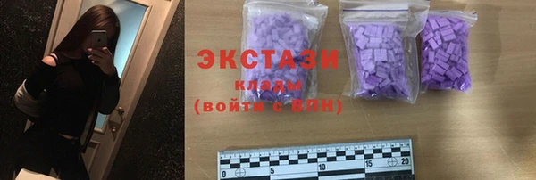 хмурый Аркадак