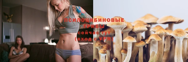 индика Балабаново