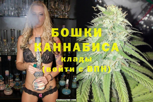 индика Балабаново