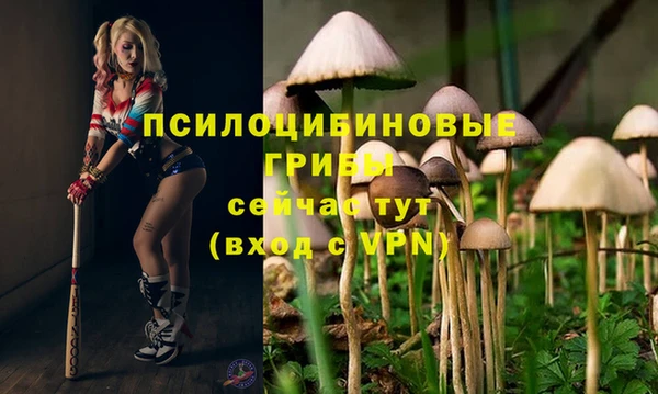 скорость Арсеньев