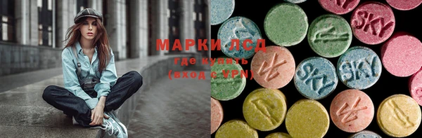 хмурый Аркадак
