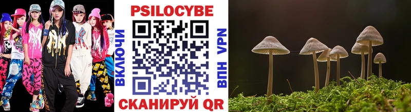 Псилоцибиновые грибы мицелий Магас